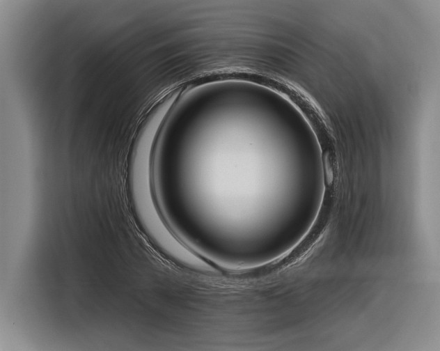 X0000116850785200912221118