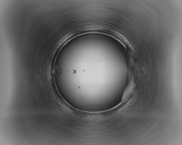 X0000116850786200912221118