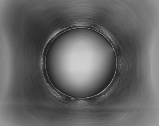 X0000116850787200912221118