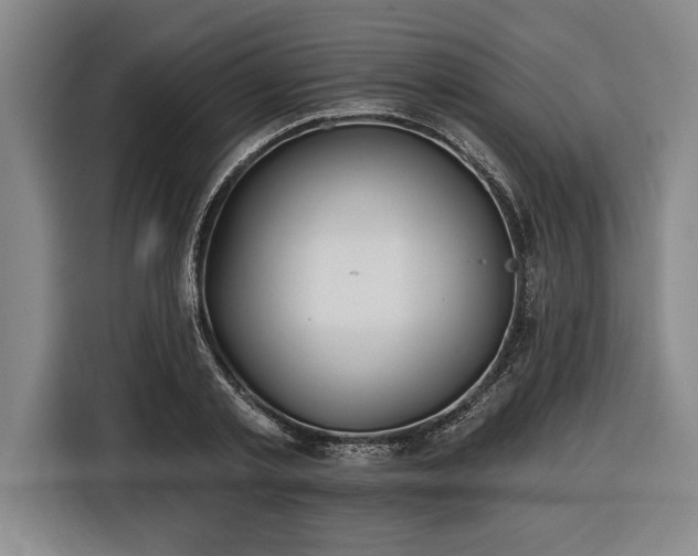 X0000116850789200912221118