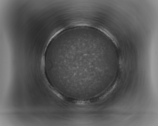X0000116850790200912221118
