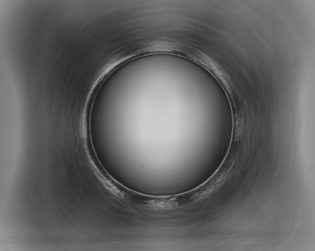 X0000116850795200912221118