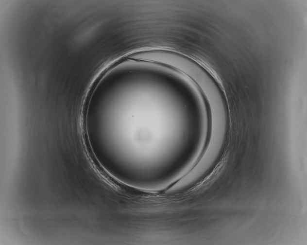 X0000116850797200912221118