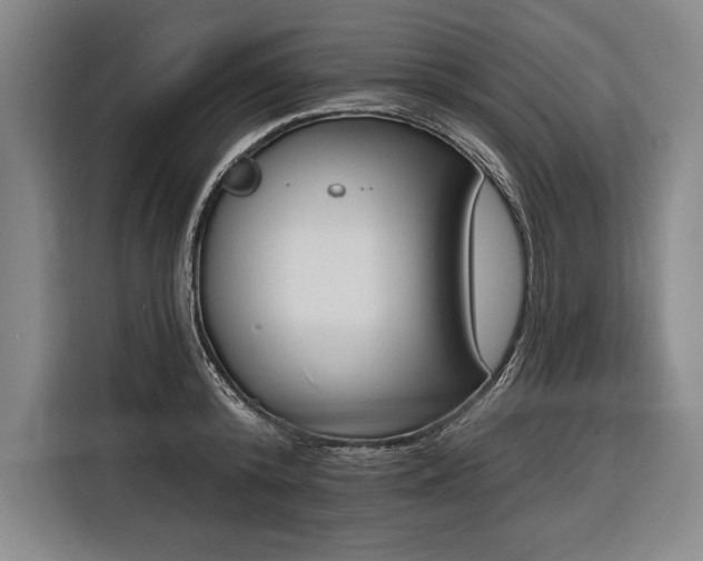 X0000116850800200912221118