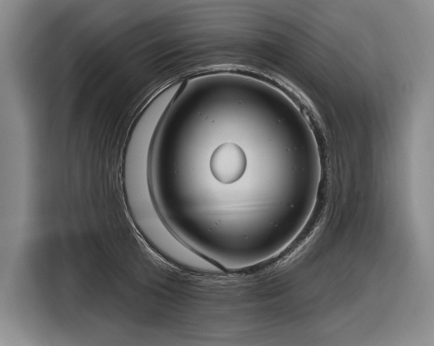 X0000116850801200912221118