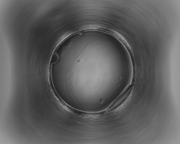 X0000116850802200912221118