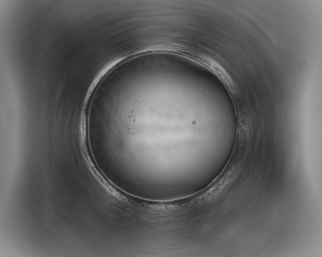 X0000116850804200912221118
