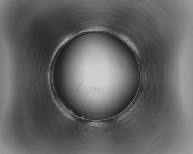 X0000116850805200912221118
