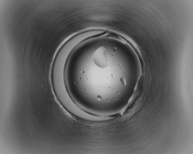 X0000116850807200912221117