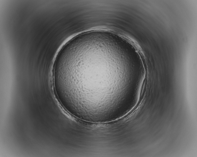 X0000116850808200912221117