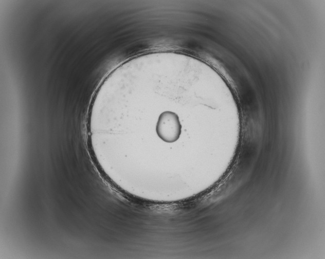 X0000116850810200912221117