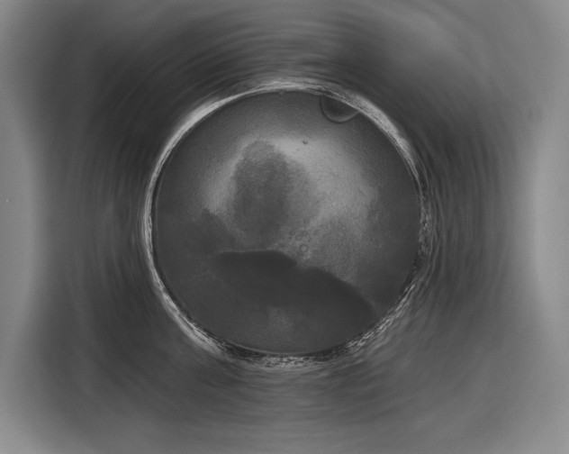 X0000116850811200912221117