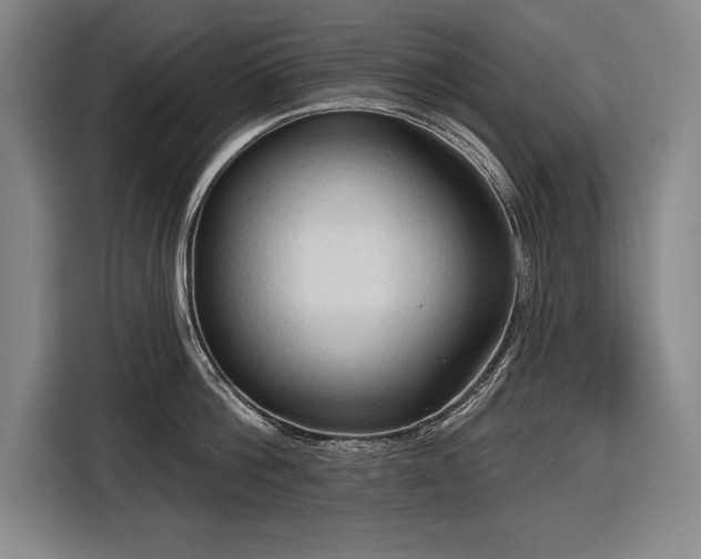 X0000116850812200912221117