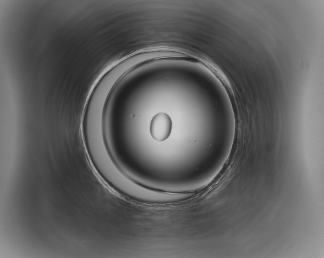 X0000116850813200912221117