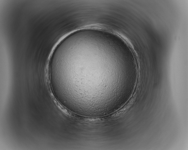 X0000116850816200912221117
