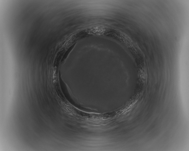 X0000116850818200912221117