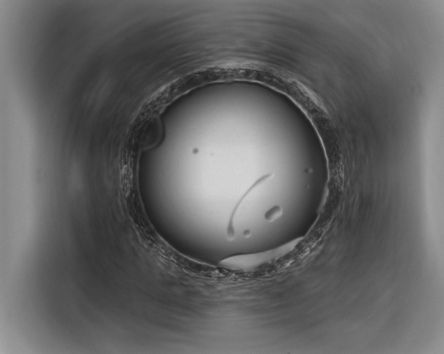 X0000116850821200912221117