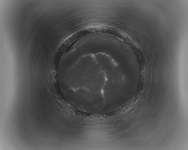 X0000116850822200912221117