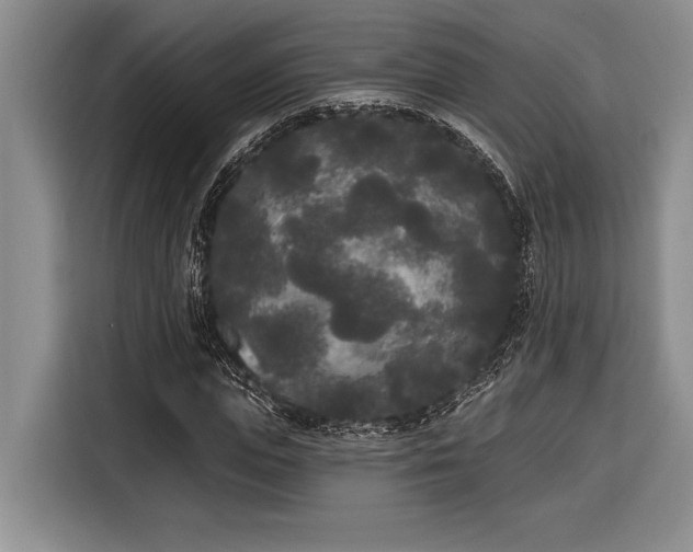 X0000116850823200912221117
