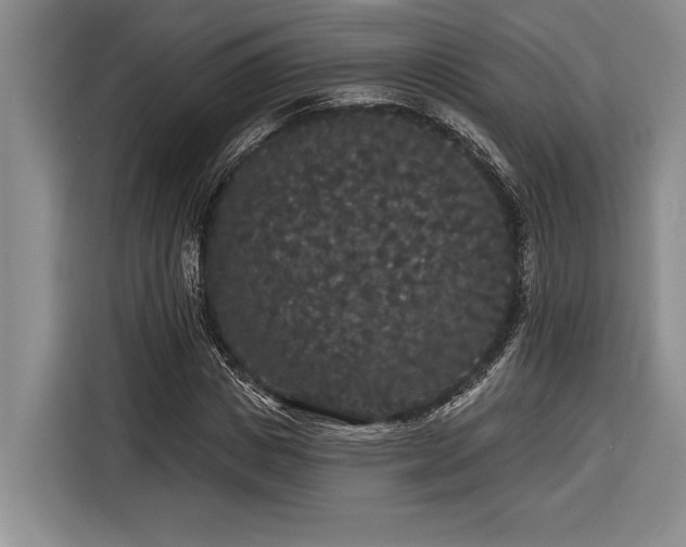 X0000116850825200912221117