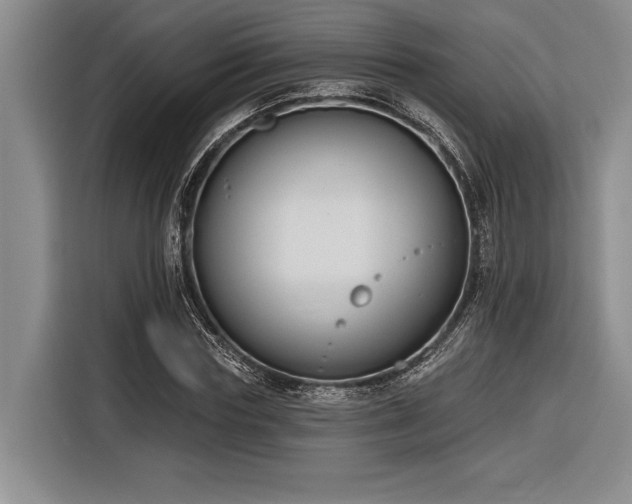 X0000116850827200912221117