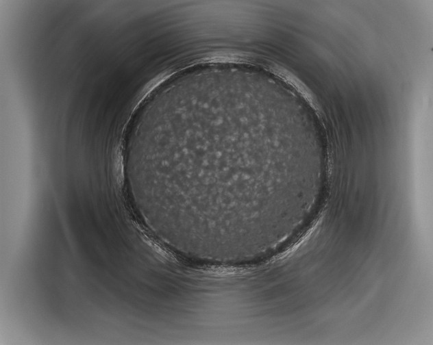 X0000116850829200912221117