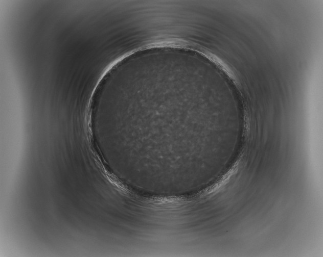 X0000116850830200912221117