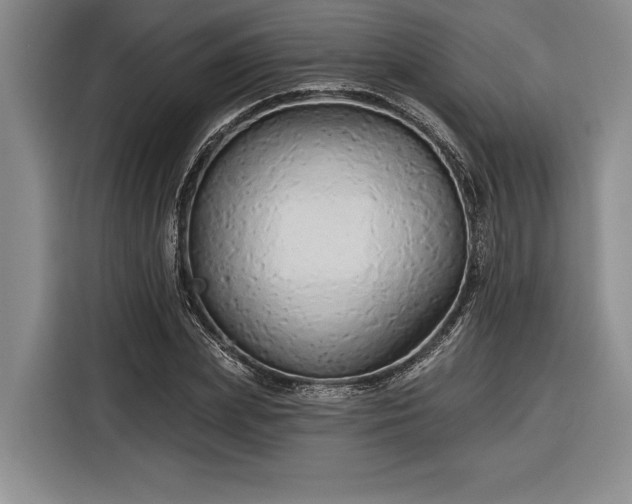 X0000116850831200912221117