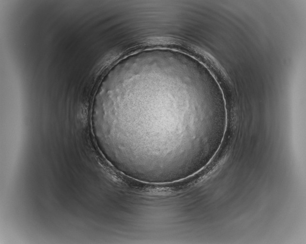 X0000116850833200912221117