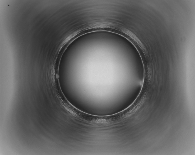 X0000116850834200912221117