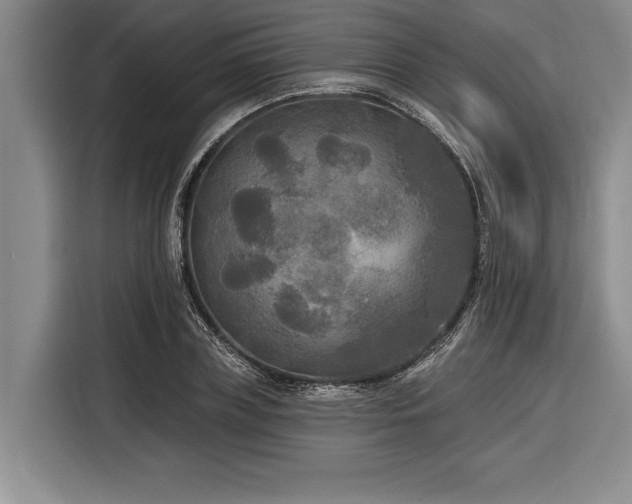 X0000116850835200912221117