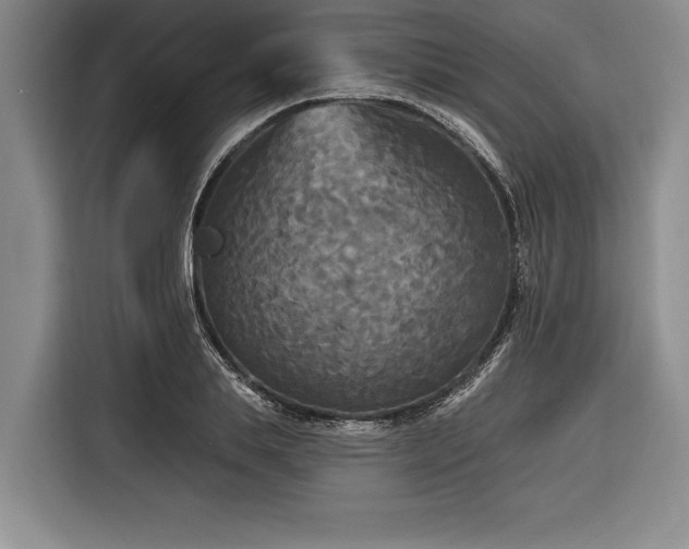 X0000116850839200912221117