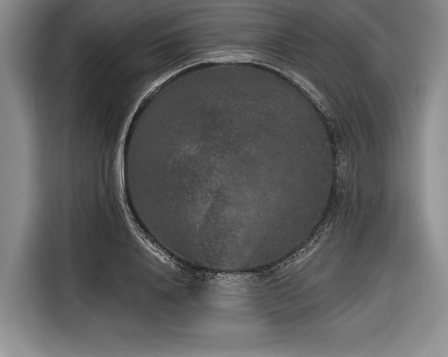 X0000116850840200912221117