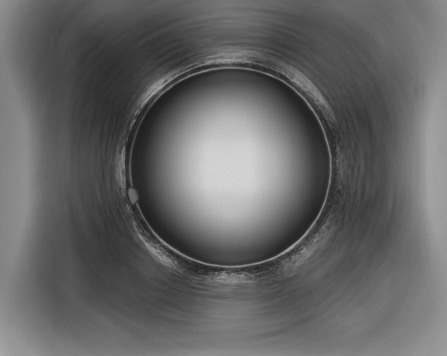 X0000116850842200912221117