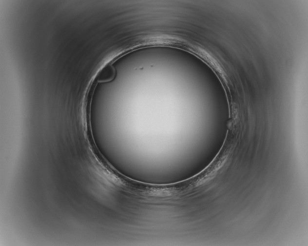 X0000116850843200912221117