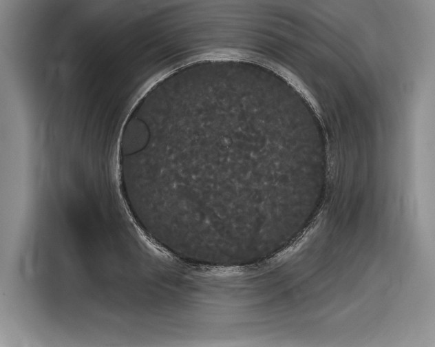 X0000116850845200912221117