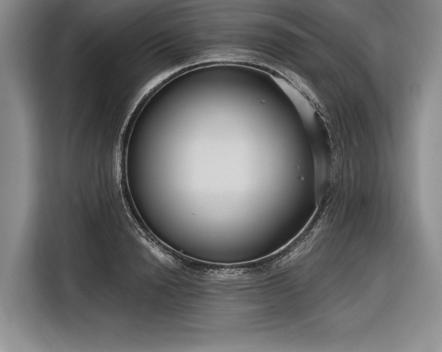 X0000116850846200912221117