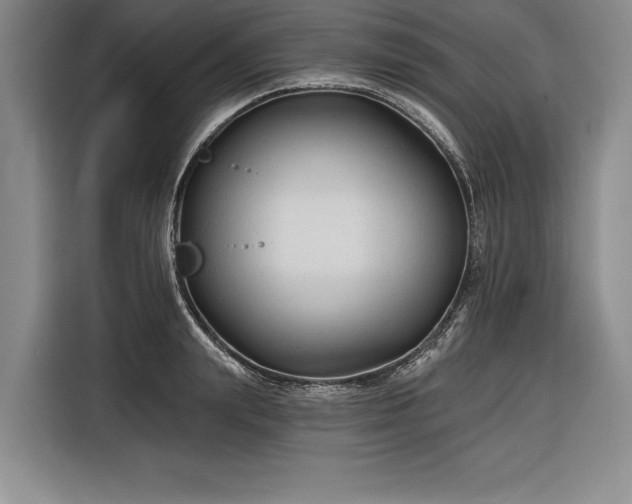 X0000116850847200912221117