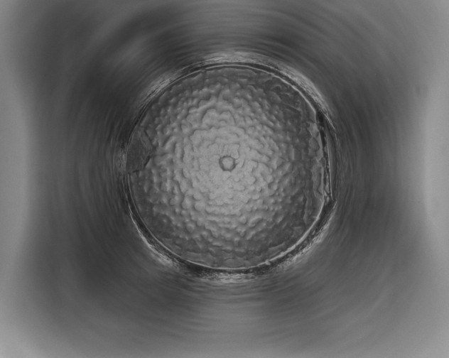 X0000116850849200912221117