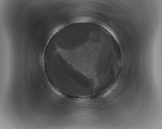 X0000116850850200912221117