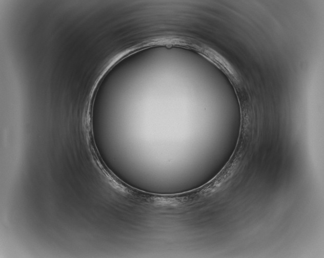 X0000116850852200912221117