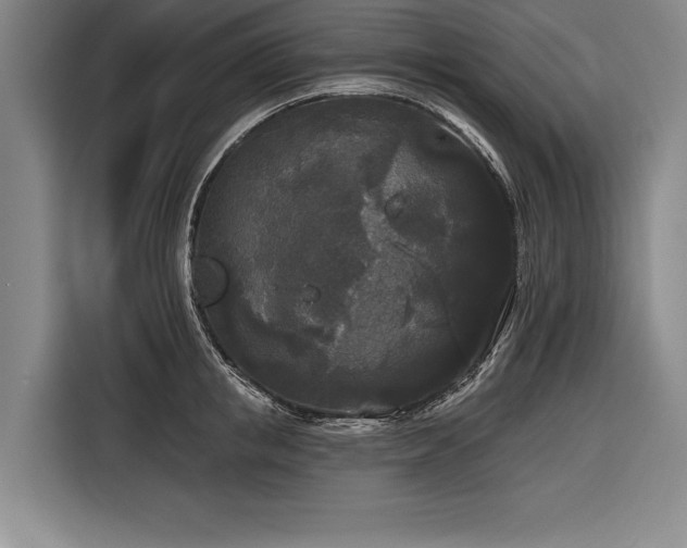 X0000116850853200912221117