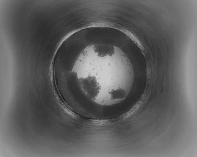 X0000116850854200912221117