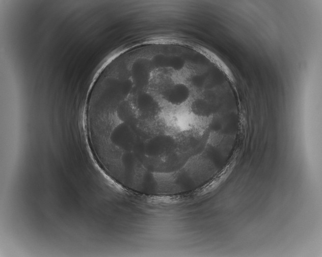 X0000116850855200912221117