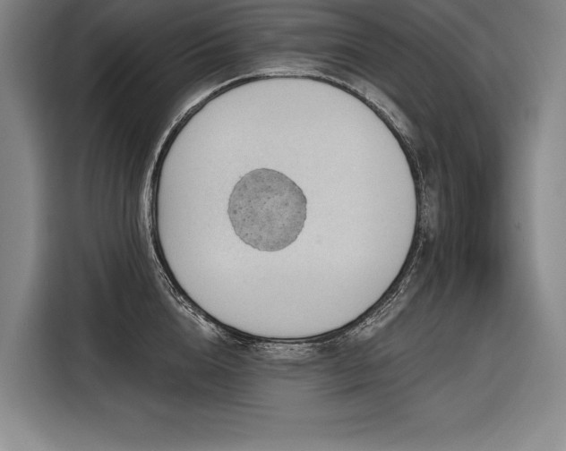 X0000116850856200912221117