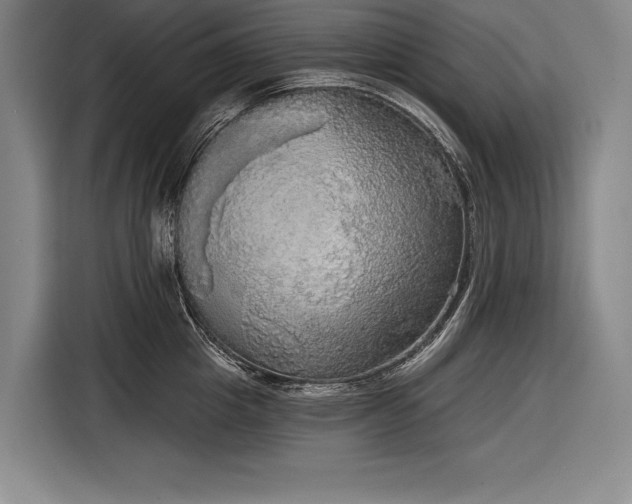 X0000116850857200912221117