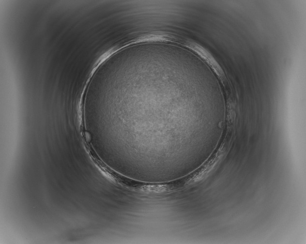 X0000116850858200912221117