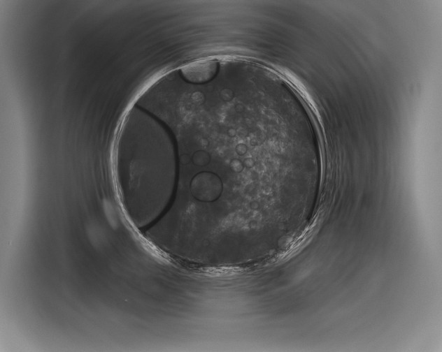 X0000116850859200912221117