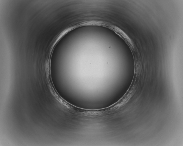 X0000116850860200912221117