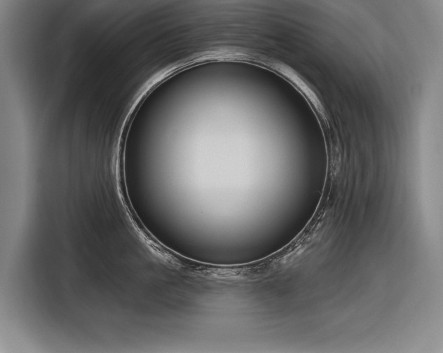 X0000116850861200912221117